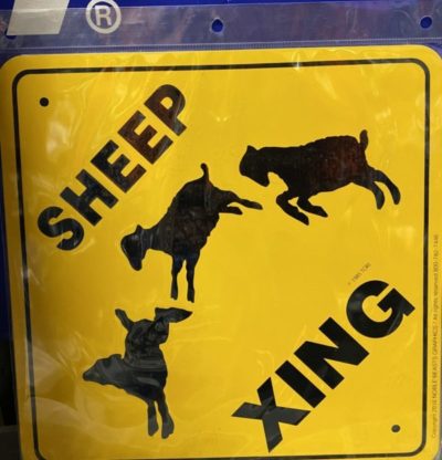 Sign, Sheep Crossing