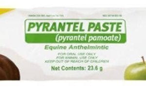 Pyrantel Paste