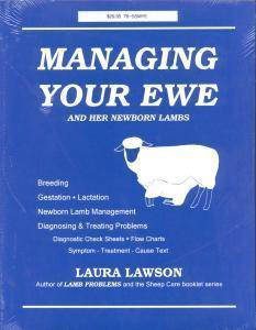 Managing Your Ewe