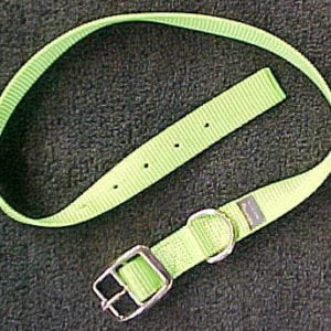 Goat Collar, Nylon Buck