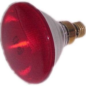 Heat Lamp, Red Bulb