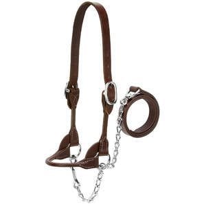 Rounded Show Halter, Brown, Large