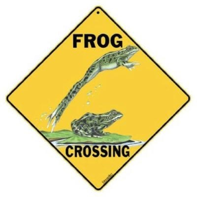 Sign, Frog Crossing
