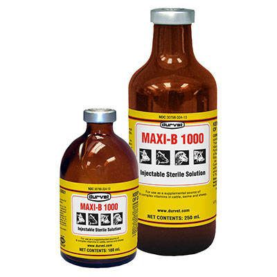 Maxi-B