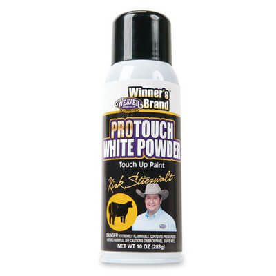 Paint, White Powder ProTouch Up - Winner's Brand