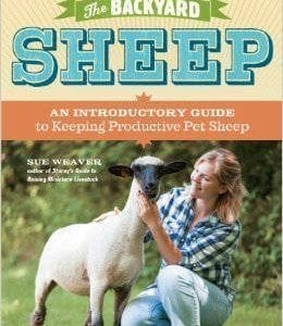 Backyard Sheep, The