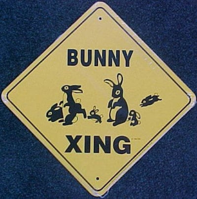 Sign, Bunny Crossing