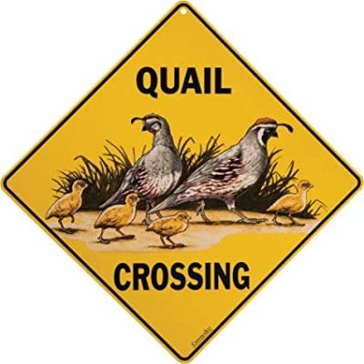 Sign, Quail Crossing